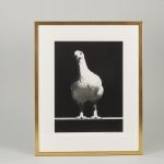 1795&nbsp;9038&nbsp;PHOTOGRAPH